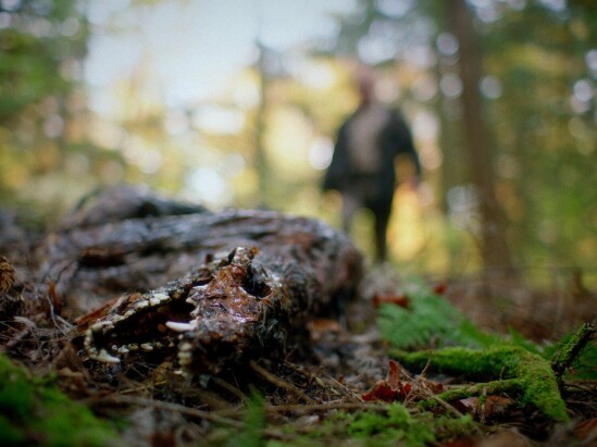 In a Violent Nature film still