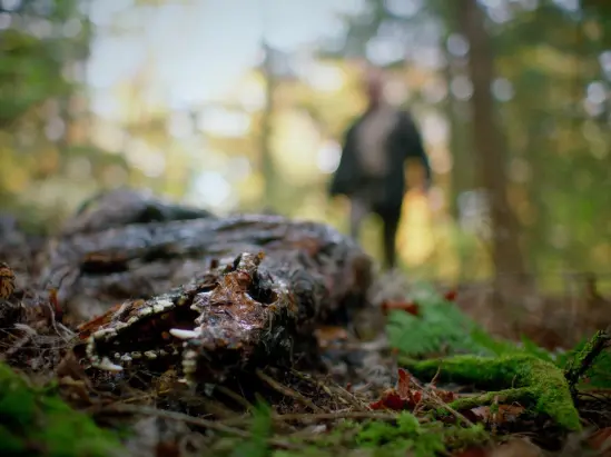 In a Violent Nature film still