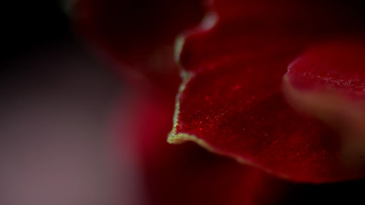 351665157-e5d83586e01d40cb04e7e32558b628666edf743c25d77e1c22dfa6f8f7146eea.png