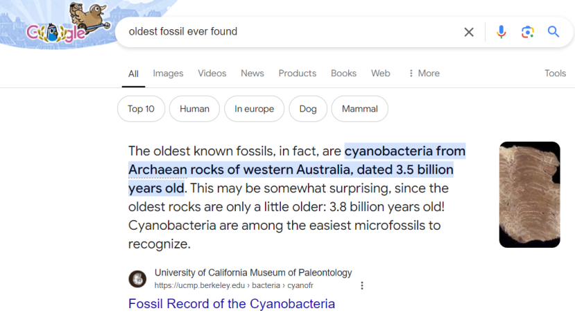 0e5f705f08c1727165832e71eebebd81d52244b39fbdcfa11c5a58a998f6ff6f.png