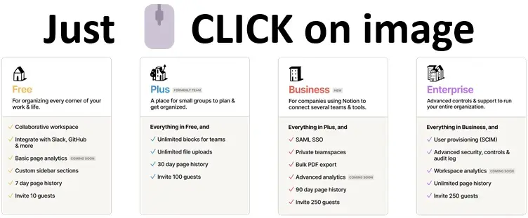 Notion subscriptions