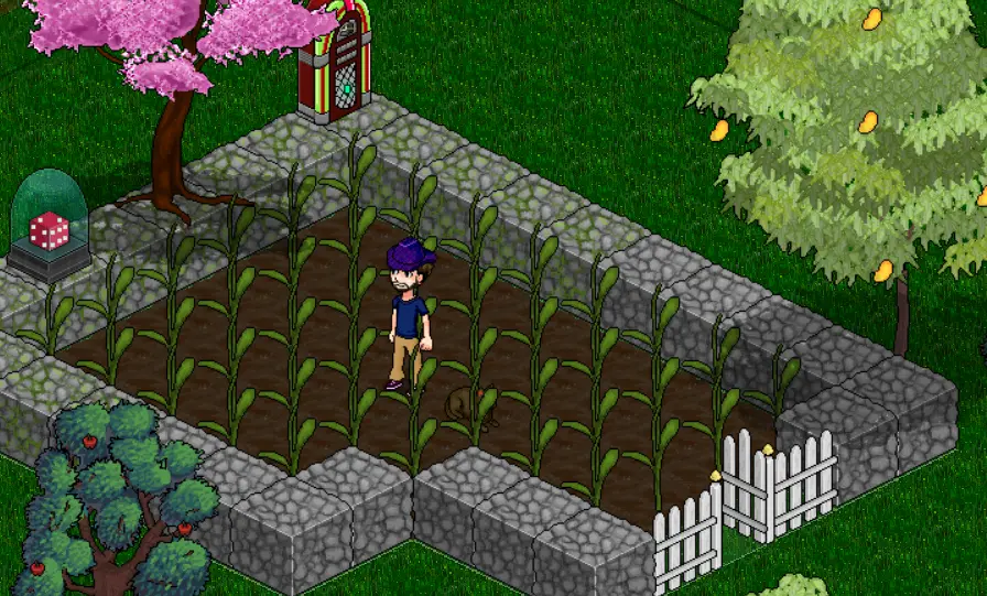 Agriculture at Dalaxia