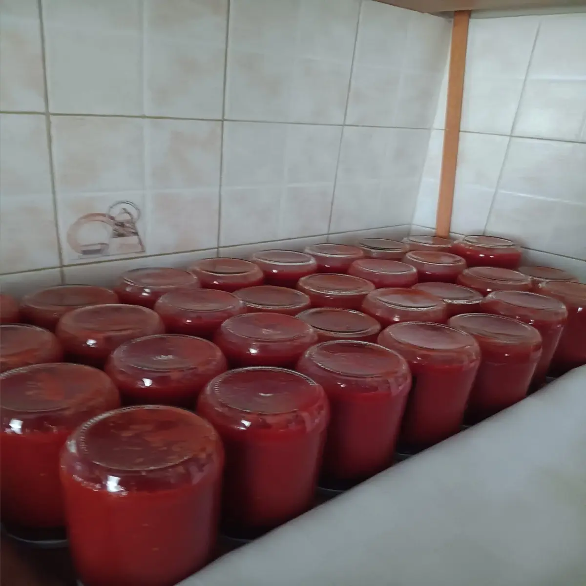 7f442bd6e8c68f0cdb7f0d0638ff4d505bf335483e23ead0d0f819f5bc078f8b.jpg