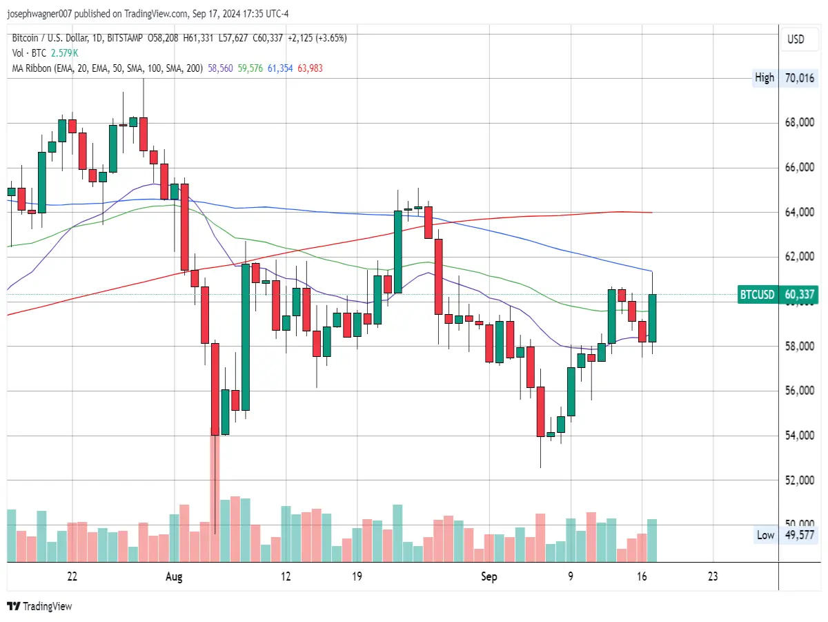 daily btc