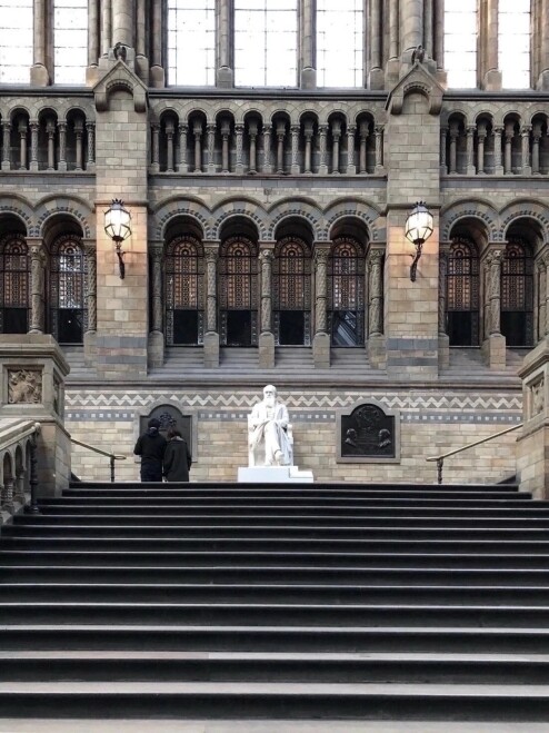 Natural History Museum (London)