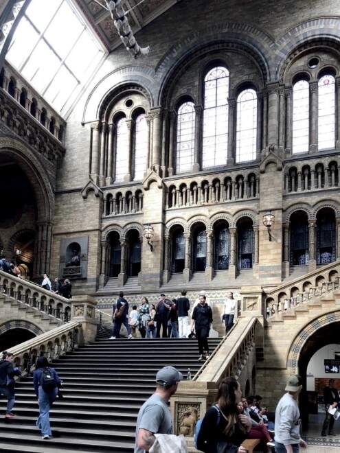 Natural History Museum (London)
