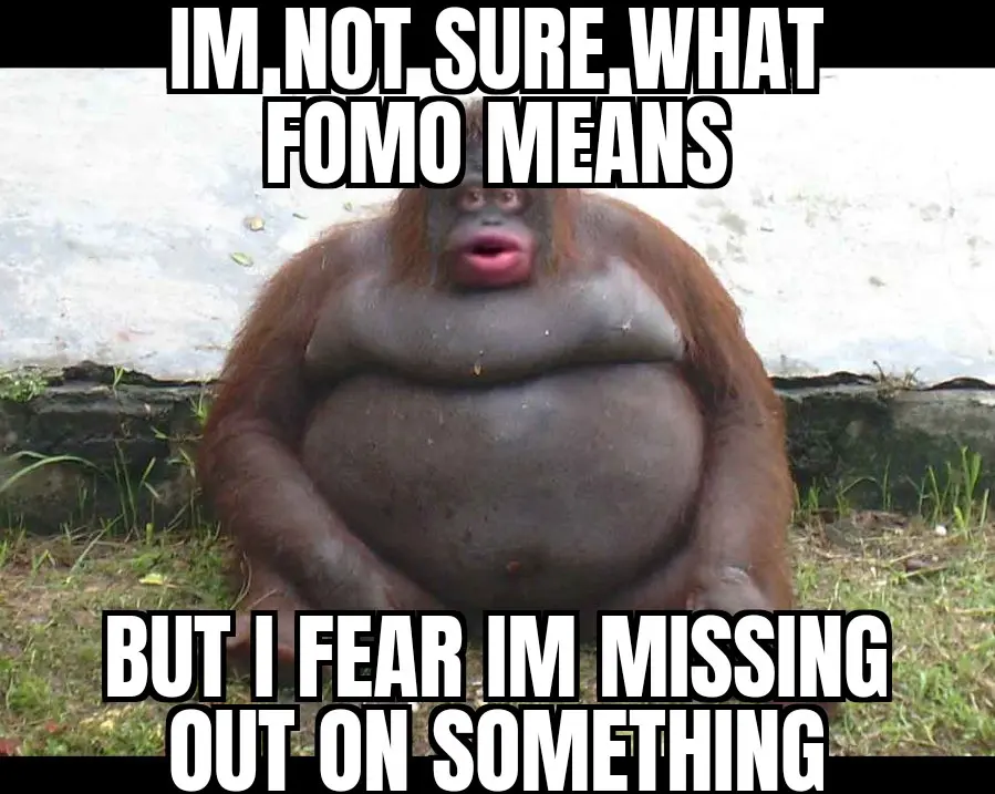 Crypto meme