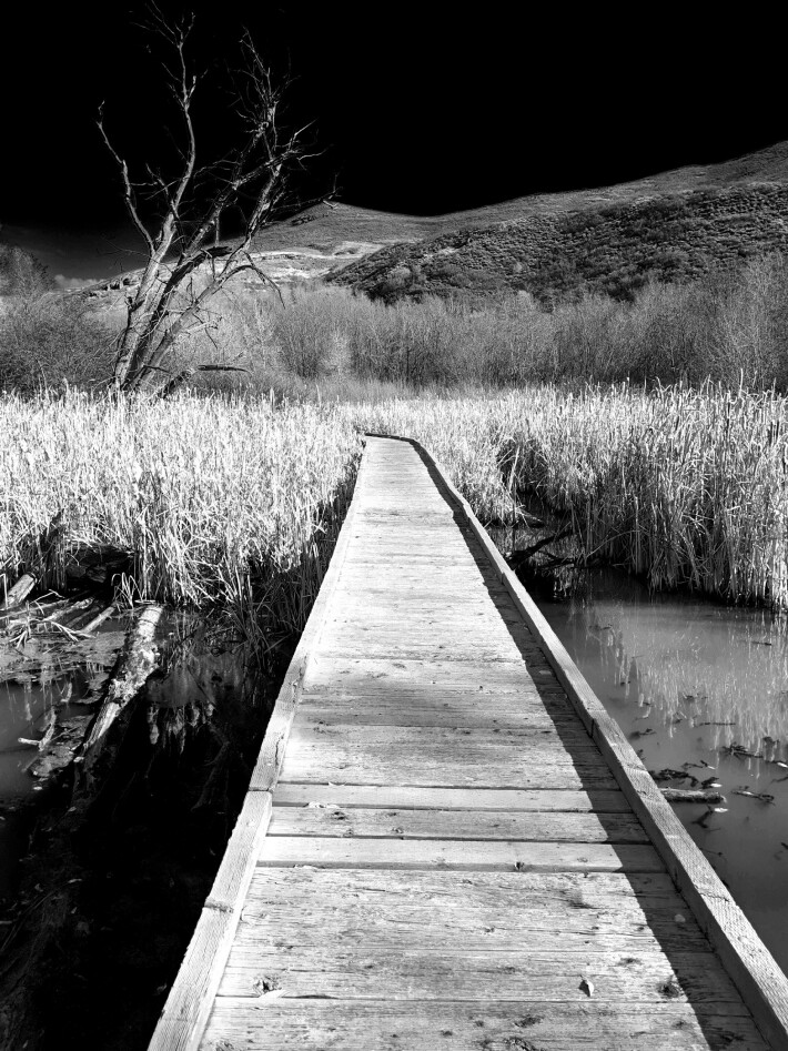 Bridge in Chrome