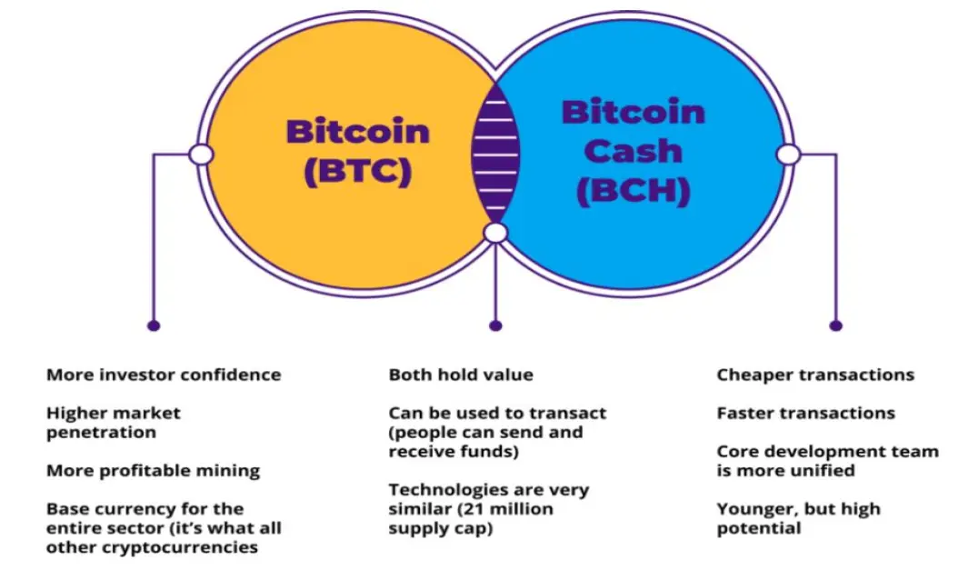 Bitcoin Cash