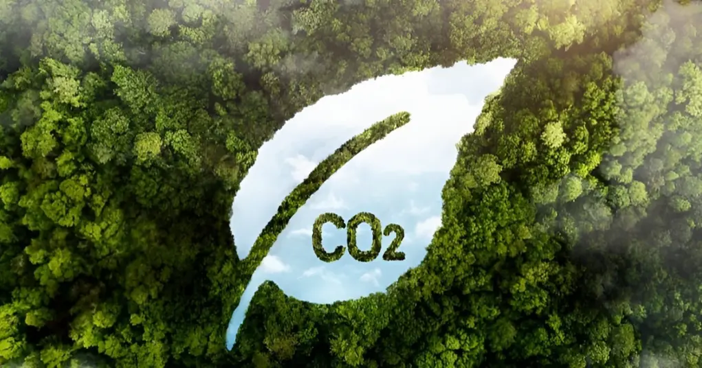 Carbon credit