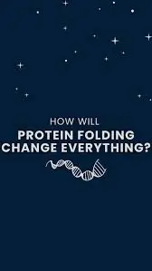 protein