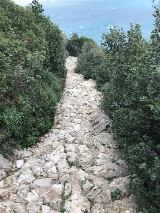 5b4b2a955b0827f74948acf7dbc03e51032adb131ff33aeb253c8060f7f0c852.jpg