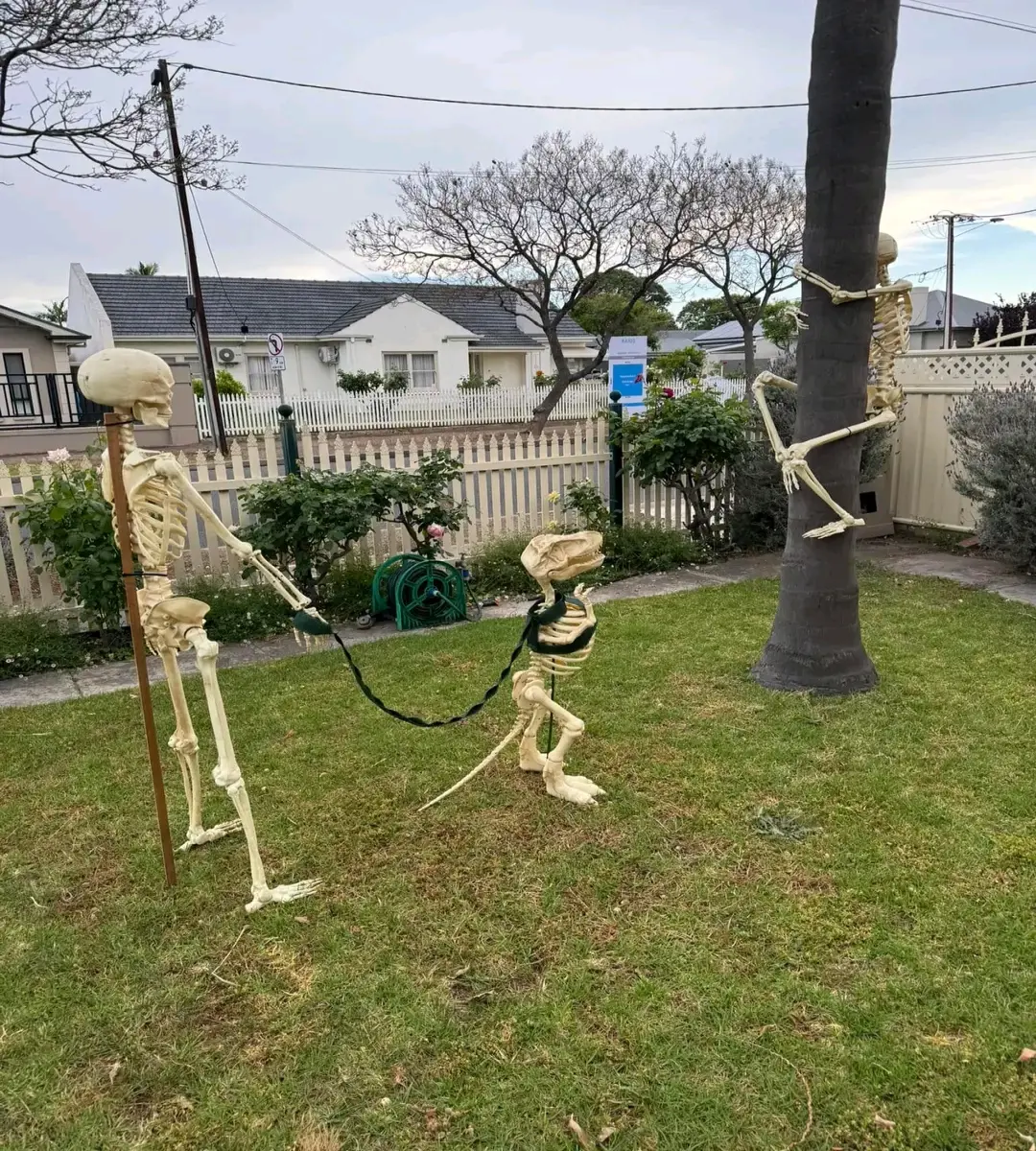 Halloween decorations