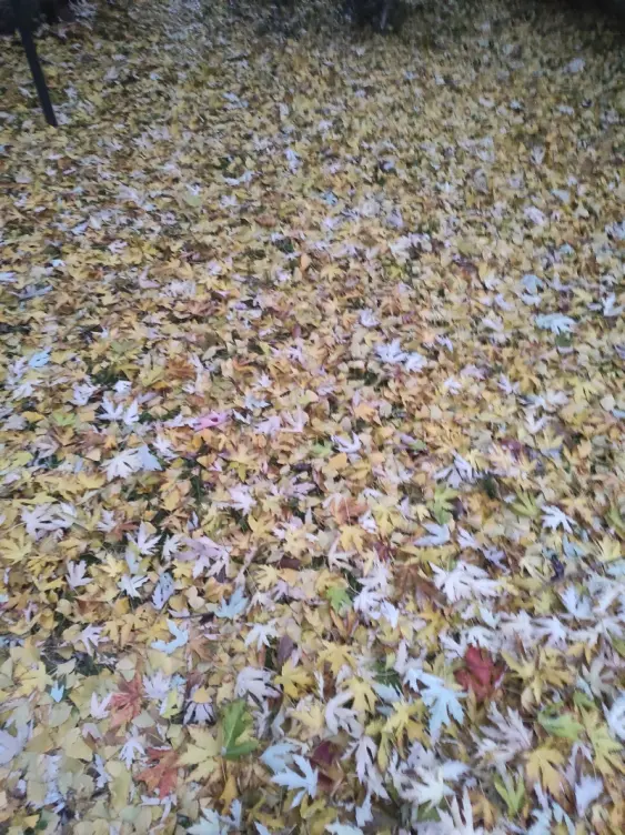 2fc4b4eb6c6d60c1b0d61cf0e131e51c10a616c49594aeef9b1bf55362bd9fd9.jpg