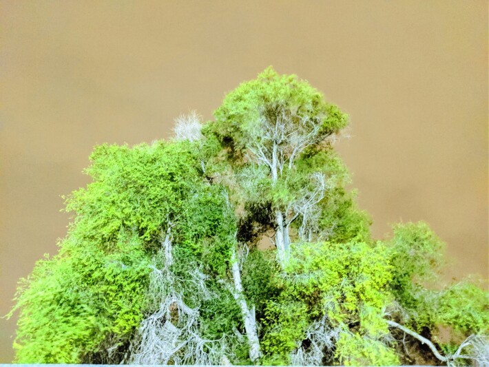 Very Green Tree