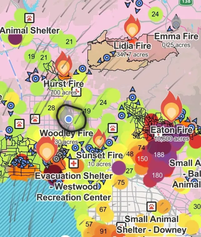 The Los Angeles Fire