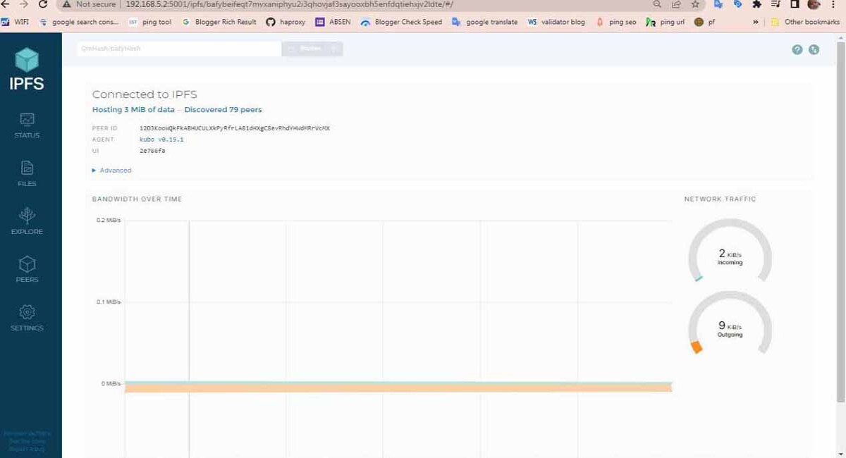 IPFS Dashboard View