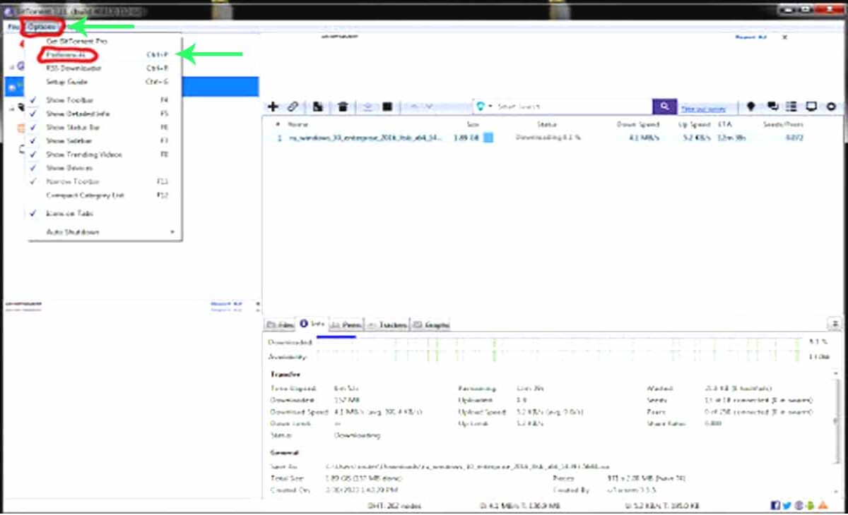 Open the bittorrent application in windows