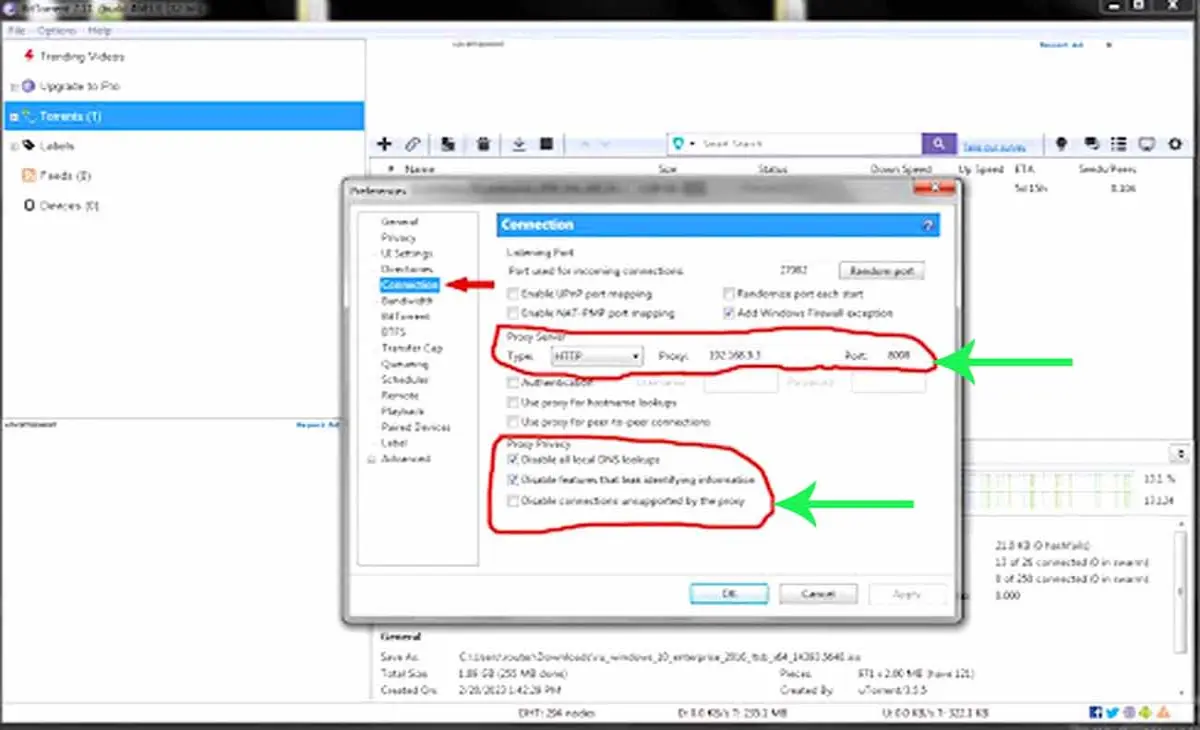 Bittorrent Application Settings