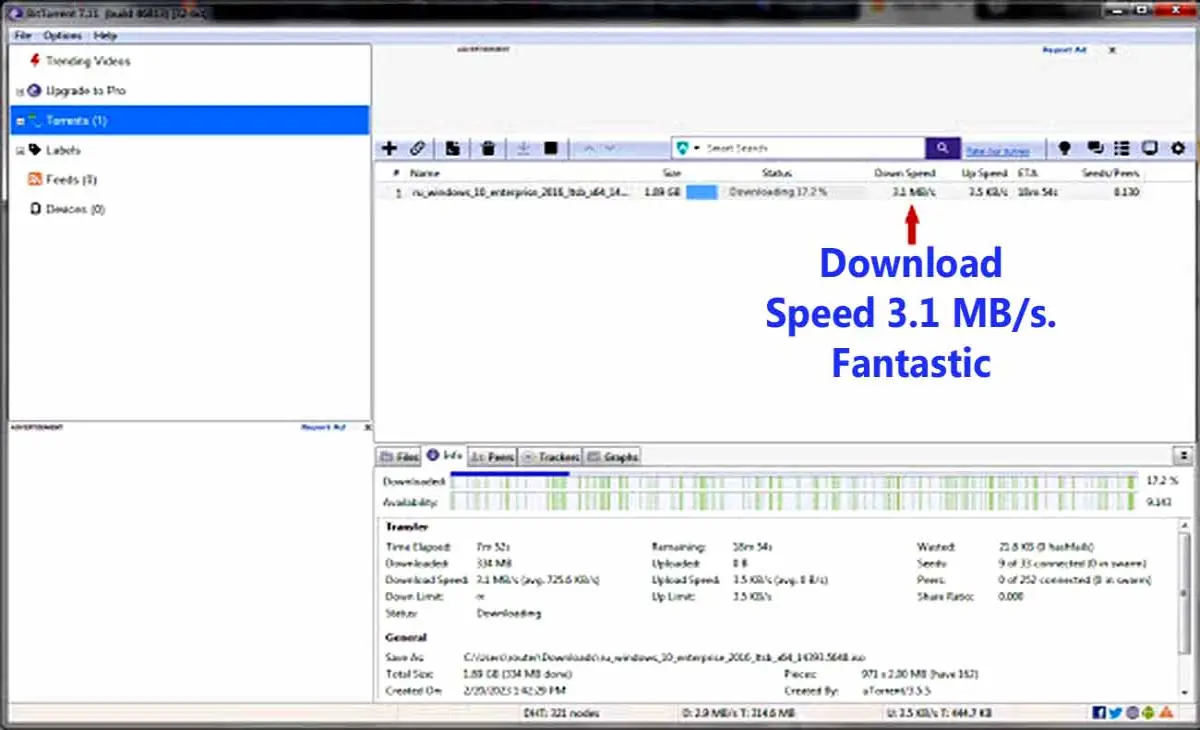 View download speed