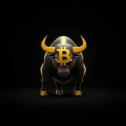 Bitcoin Bull run