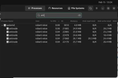 Linux System Monitor Showing Antnodes running