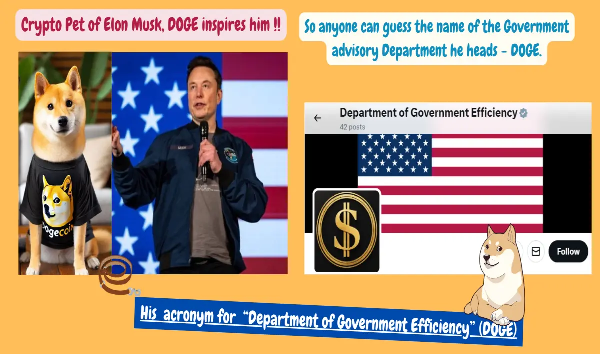 elon musk doge crypto web3