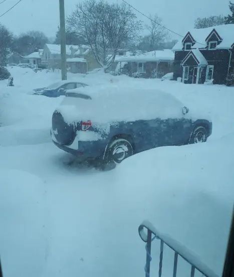 Looking out my front door!