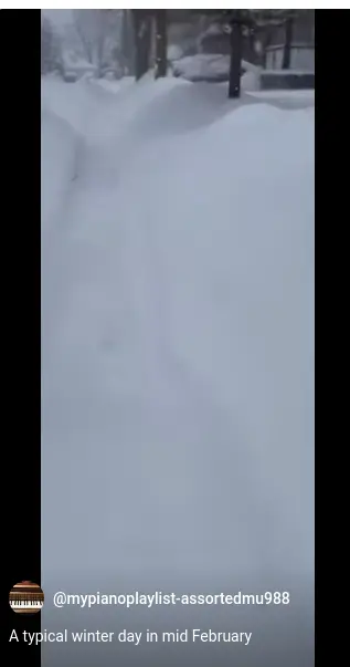 Snowy Front Yard!