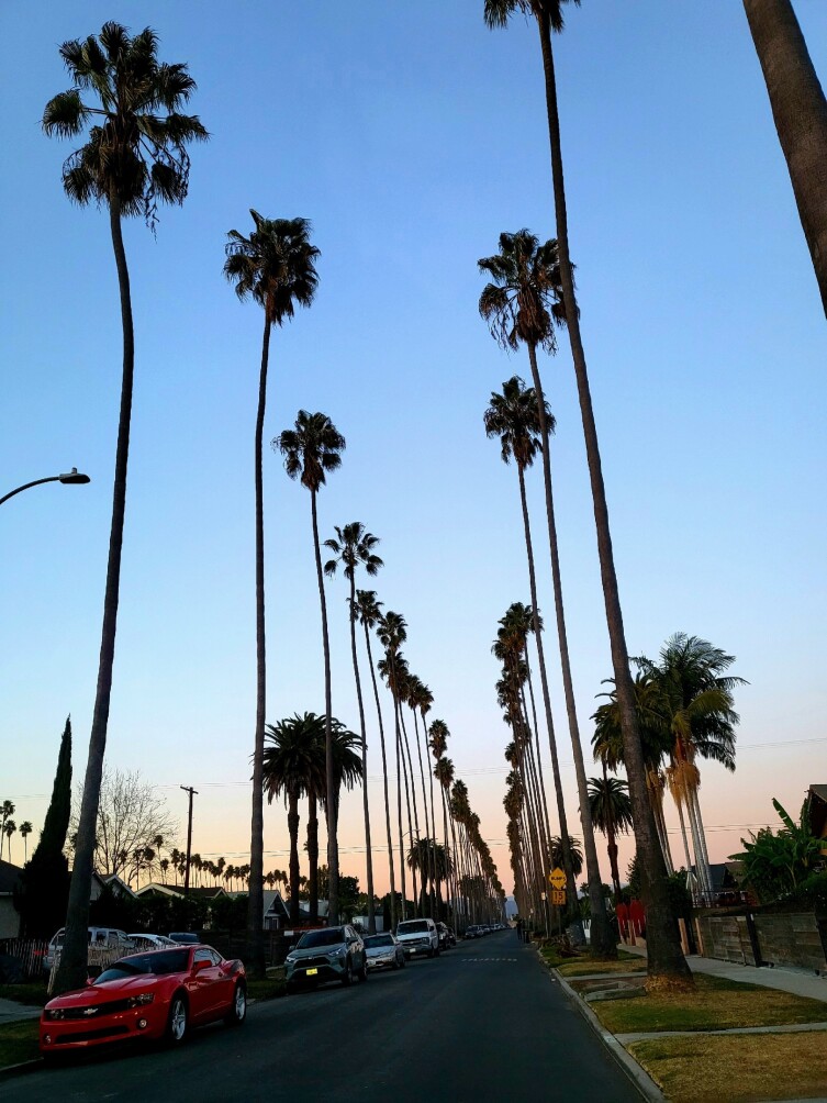 Los Angeles