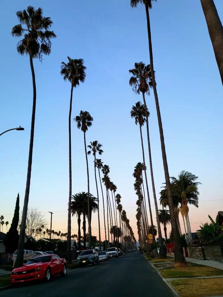 Los Angeles