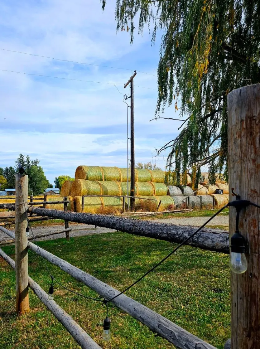 Idaho