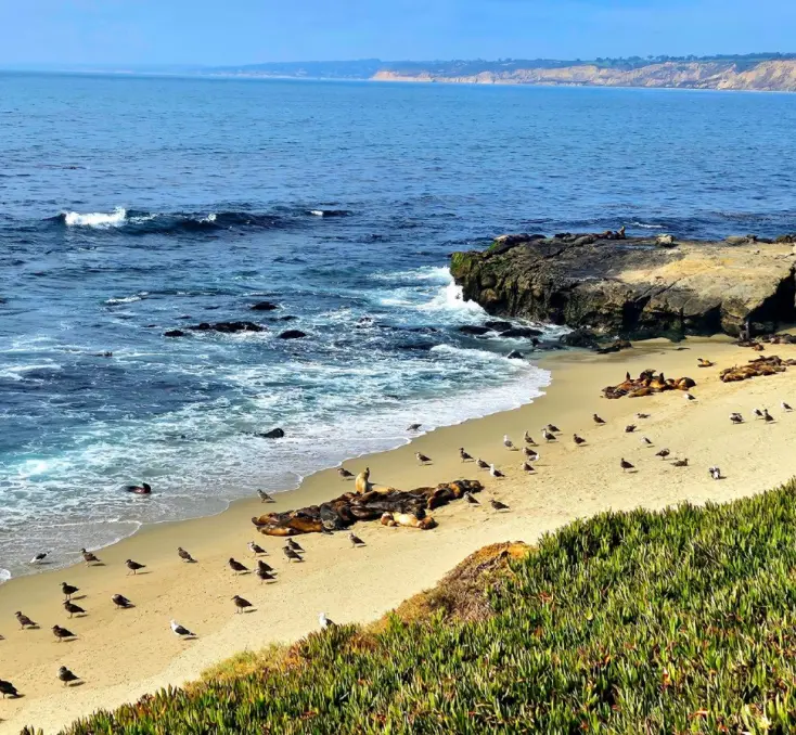La Jolla