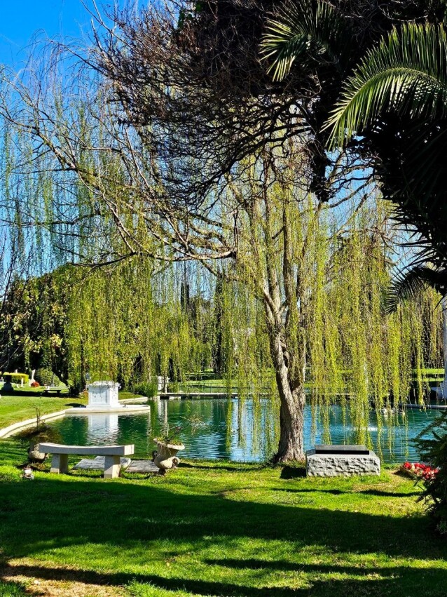 Hollywood Forever