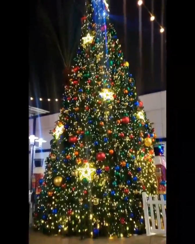 Christmas tree
