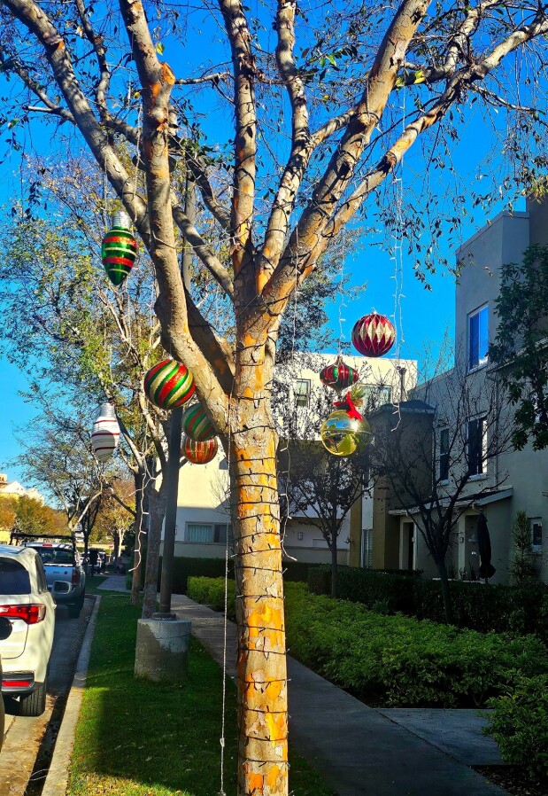 Festive Los Angeles