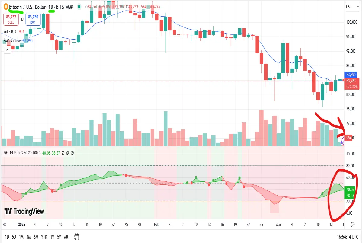 bitcoin daily chart