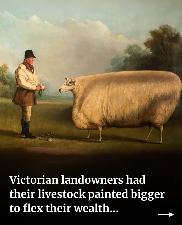 Farmer's status