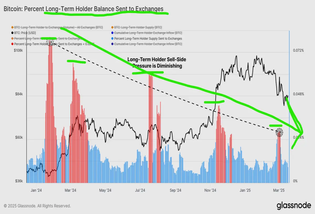 bitcoin long term holders