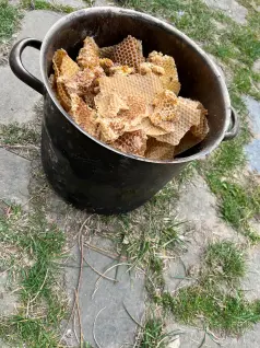 87ec1e65708b5109b3e22b7aca0dddd76f8a5a84ef05b8439dc47ddc5a5f3e52.jpg