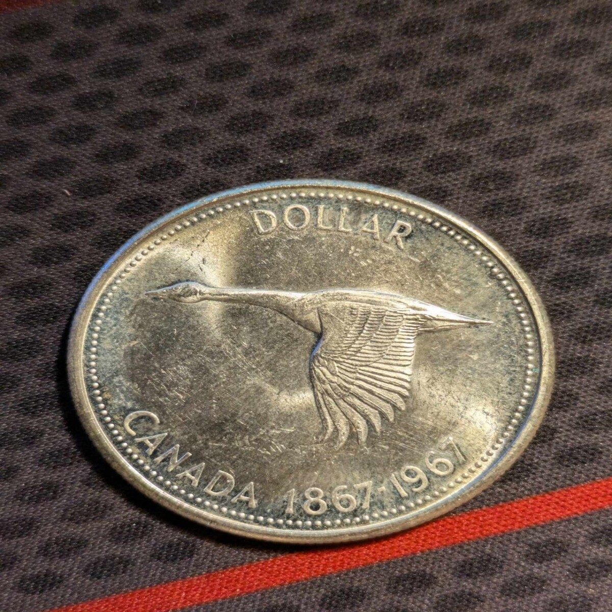 7f29de2f449b4922ef7d2eb16d7d25cf8a5cd5fb39656d3aa3059825f49abf4f.jpg