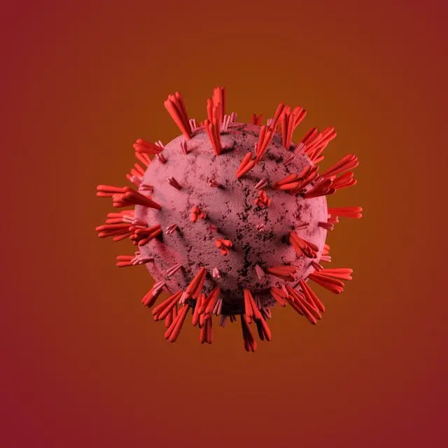 d19047f32a036d2fc2ee0ddc68de1214b9b06b320a3cfd0c635e5c9638d3bad3.jpg