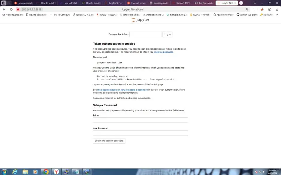 Log in to Jupyter Notebook