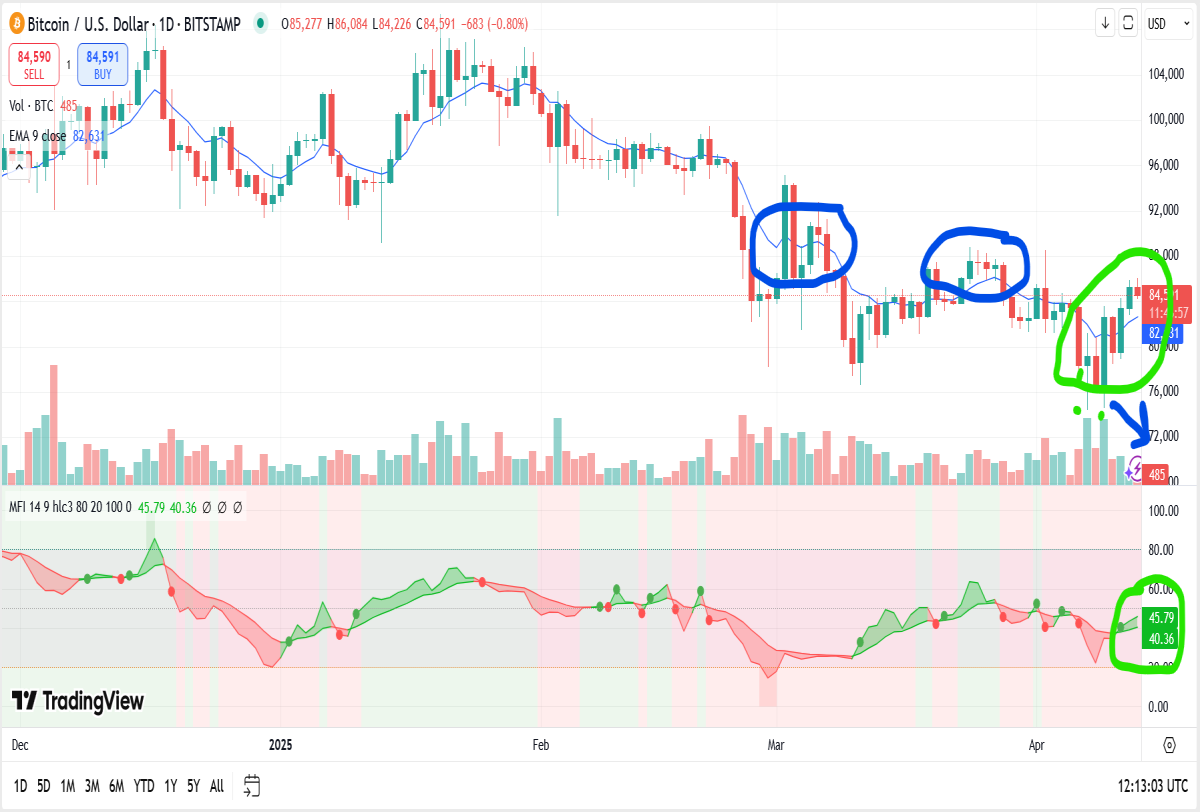bitcoin daily