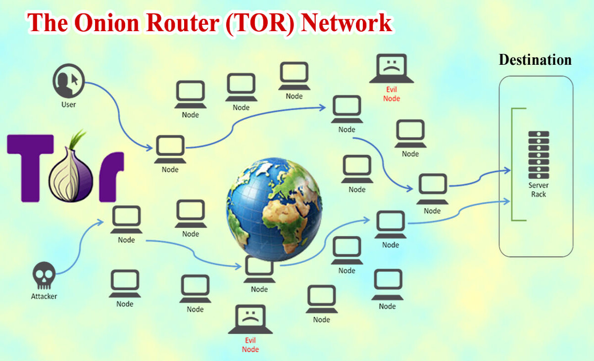 The Onion Router (TOR) Network