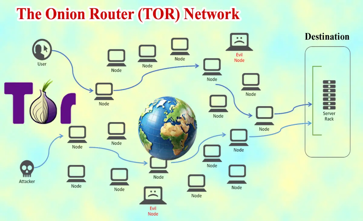 The Onion Router (TOR) Network