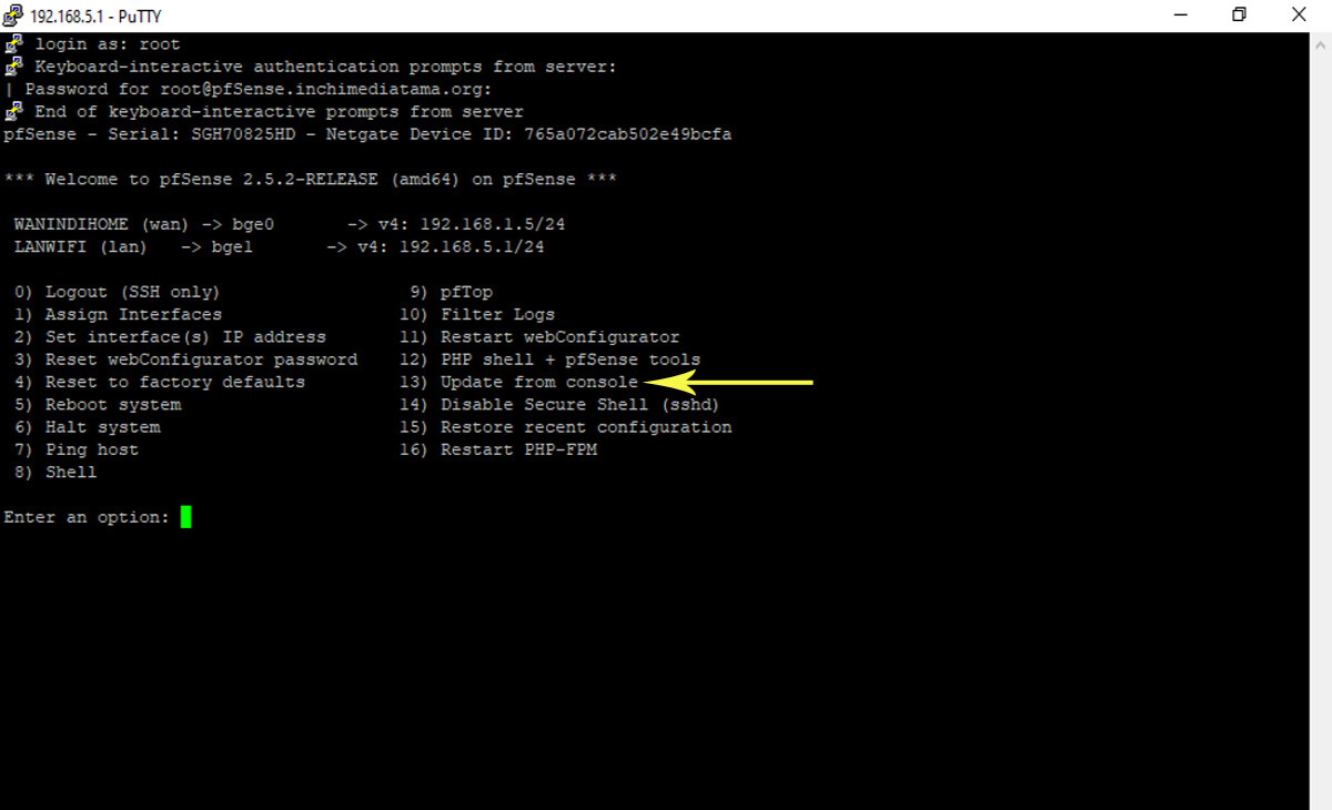 updating PFSense using the Command line