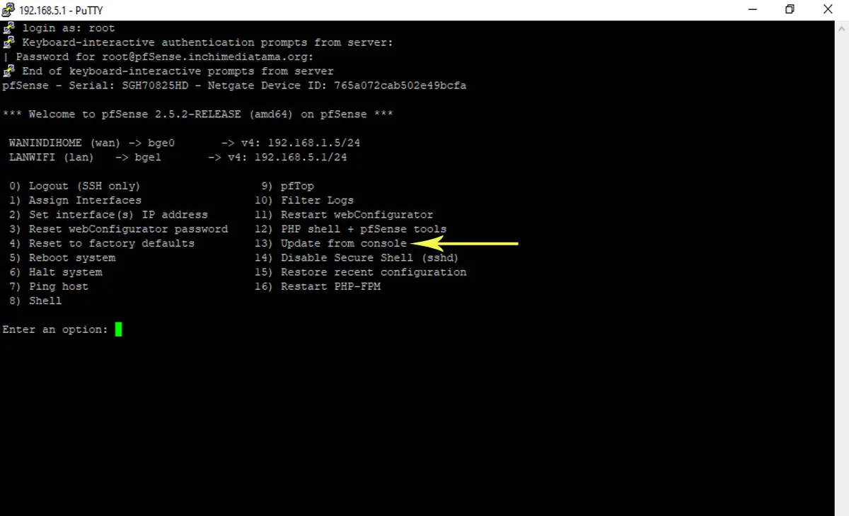 updating PFSense using the Command line