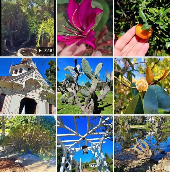 Los Angeles County Arboretum and Botanical Garden