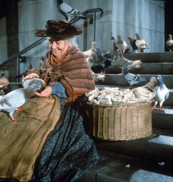 Feed The Birds